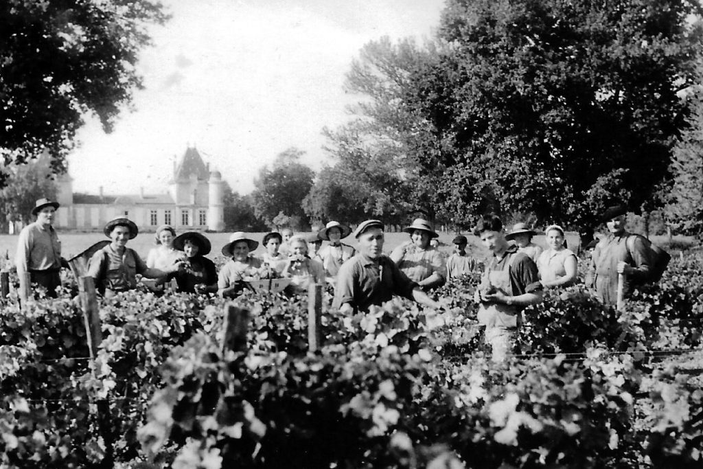 Vendanges Peychaud 1958